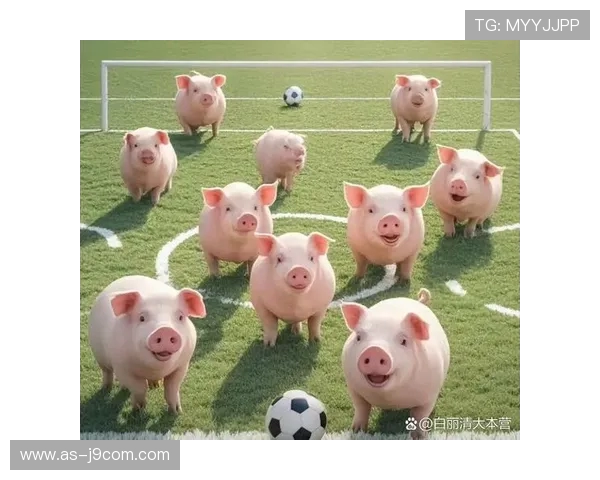 小猪公益以足球点亮童心梦想助力社区温暖成长之路共筑希望未来梦